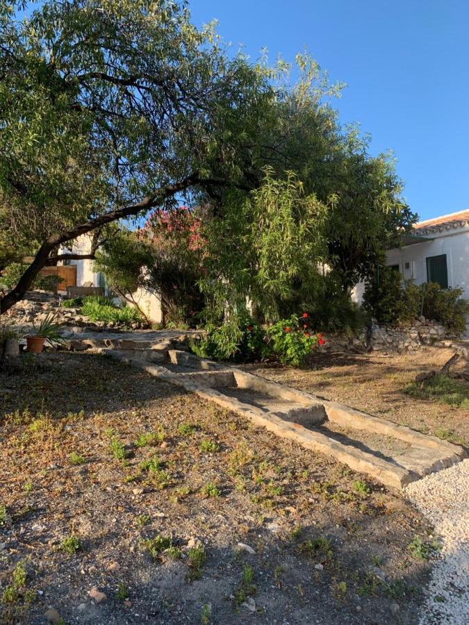 Casa Anita - La Almona Chica Guest House El Chorro Exterior photo