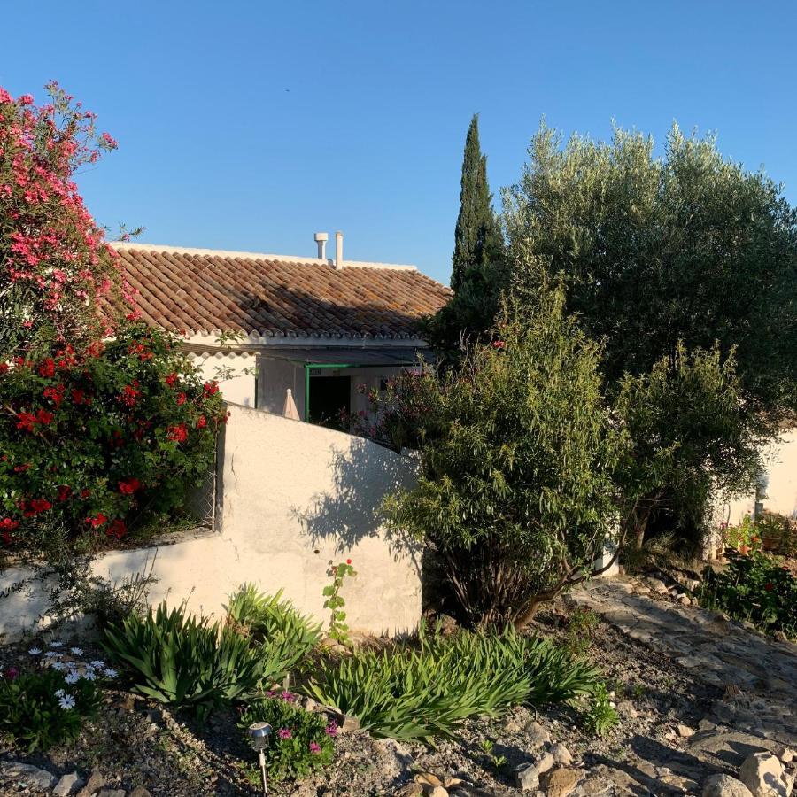 Casa Anita - La Almona Chica Guest House El Chorro Exterior photo