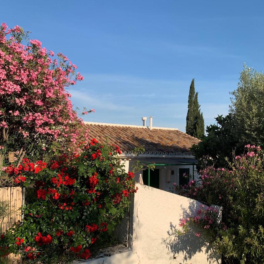 Casa Anita - La Almona Chica Guest House El Chorro Exterior photo